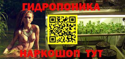 jwh Кандалакша