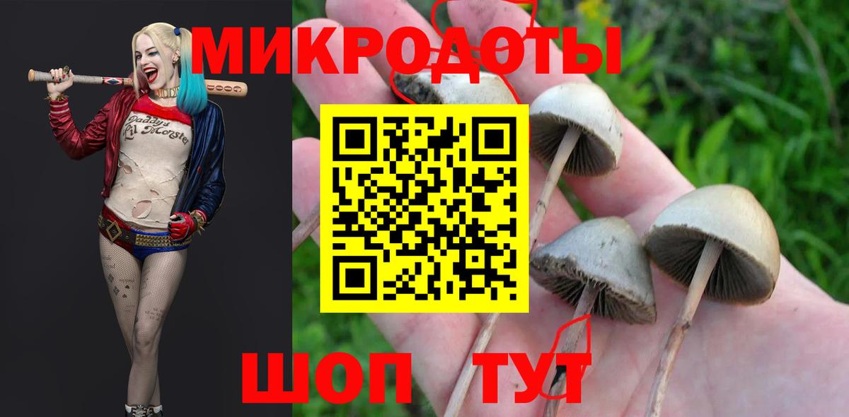Галлюциногенные грибы Psilocybine cubensis  Вход с VPN  Псилоцибиновые грибы GOLDEN TEACHER  Коряжма 